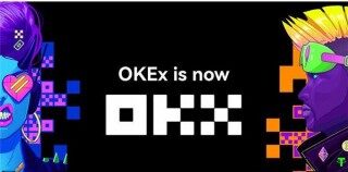 鸥意ok手机版app下载 鸥意ok安卓版2022官方下载